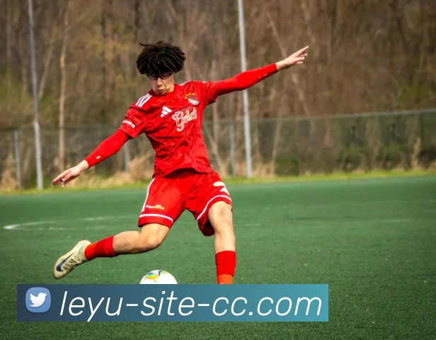 乐鱼体育平台生态图